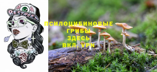гидра Навашино