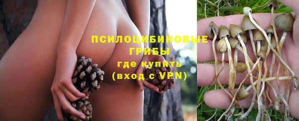 МДПВ Надым